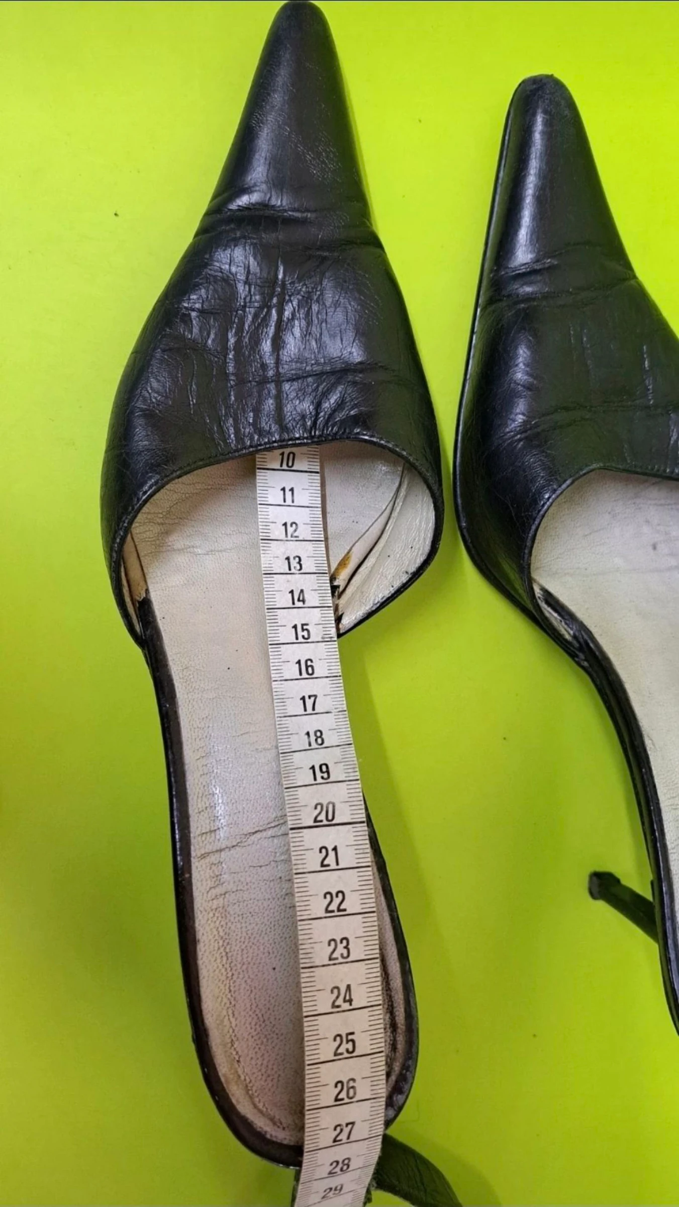 Mules pretos senhora. – photo 6
